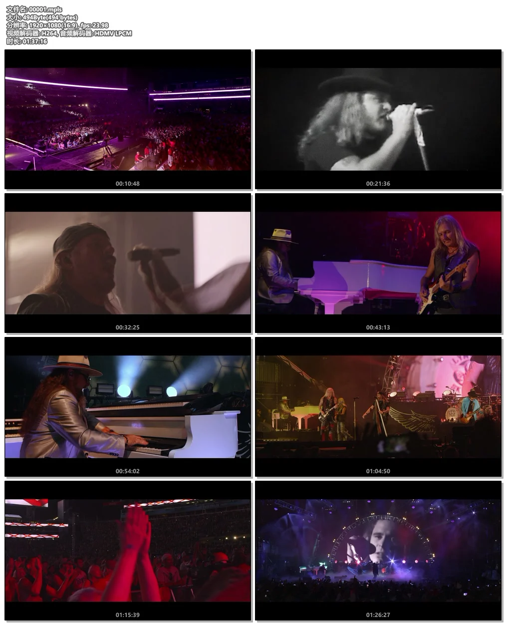 图片[6]-Lynyrd Skynyrd – Last Of The Street Survivors 2020《BDMV 32G》-蓝光演唱会资源网