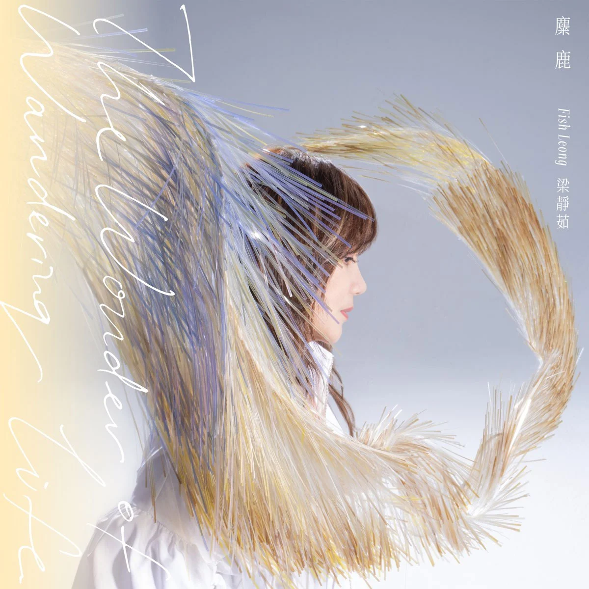 梁静茹 – 麋鹿 2023 [24bit/48khz] [Hi-Res Flac+MP3 575MB]-蓝光演唱会资源网