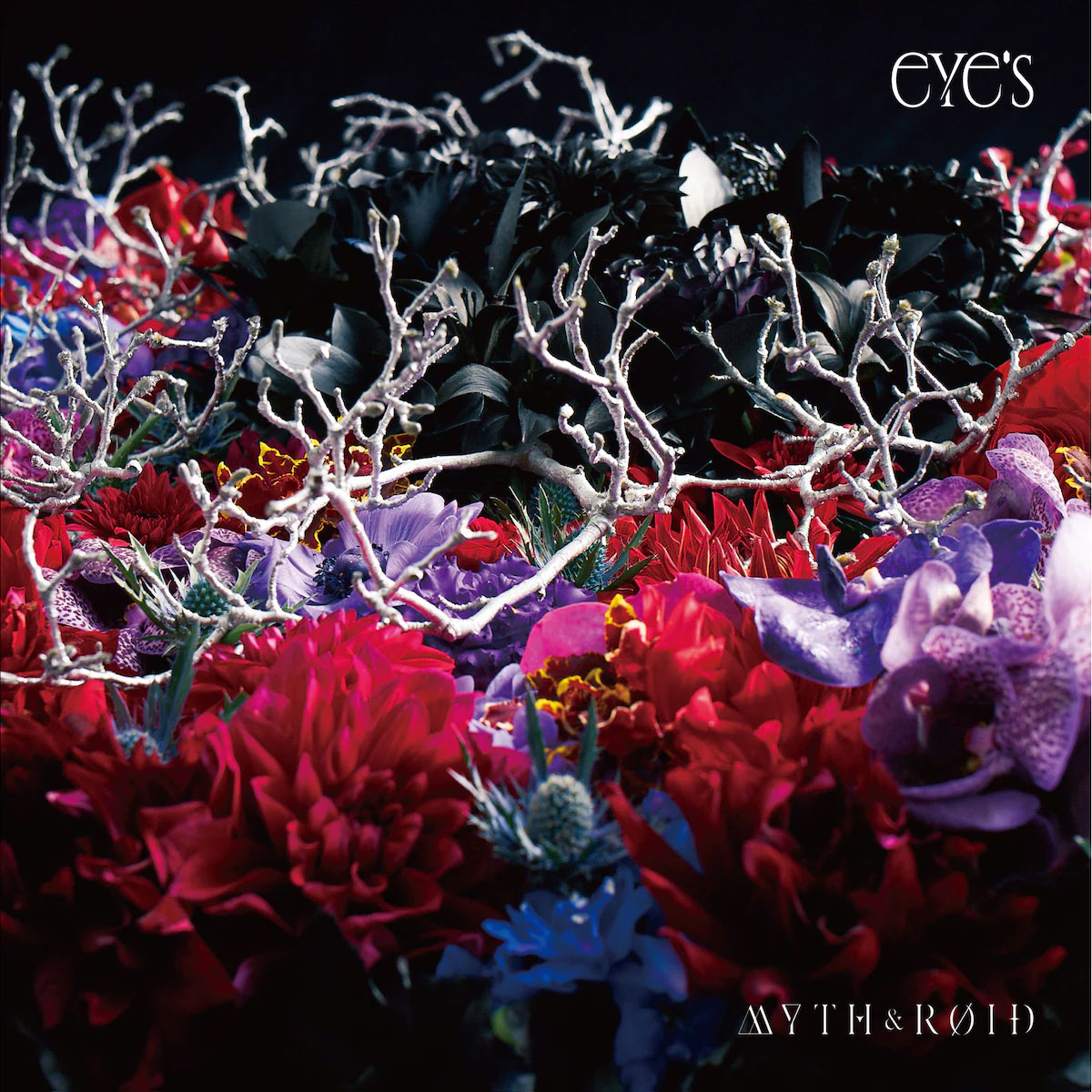 MYTH & ROID – eYe\’s 付属BD 2017《BDMV 7.48GB》-蓝光演唱会资源网