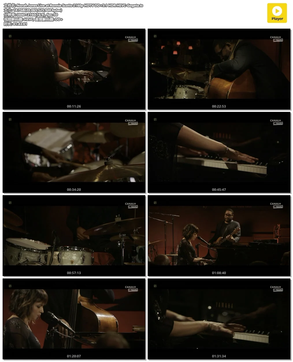 图片[4]-诺拉·琼斯 Ronnie Scott\’s 爵士俱乐部现场 Norah Jones Live at Ronnie Scotts 2160p《HDTV TS 18.6GB》-蓝光演唱会资源网