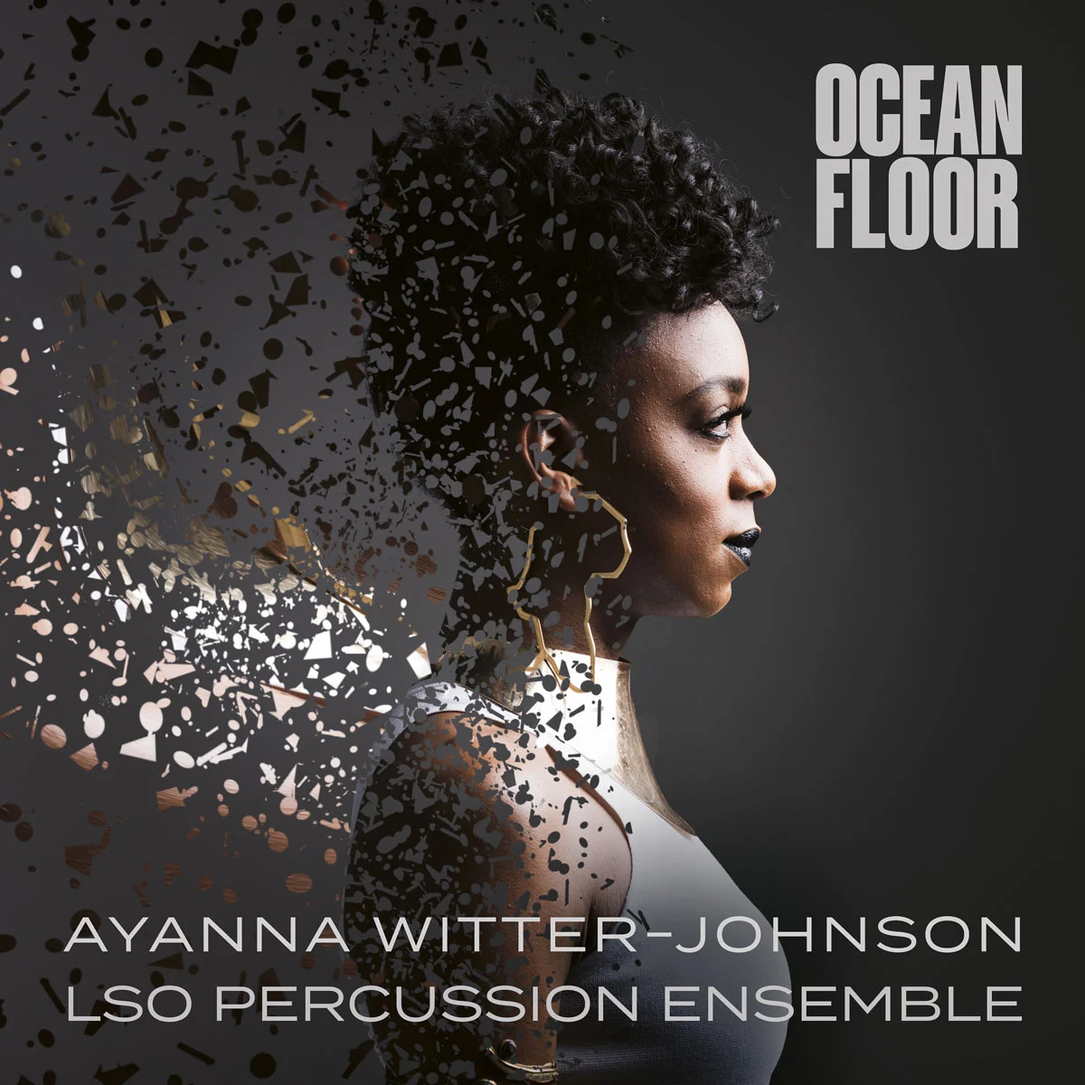 阿雅娜·威特-约翰逊 Ayanna Witter-Johnson – Ocean Floor 2023 [24bit/96kHz] [Hi-Res Flac 1GB]-蓝光演唱会资源网