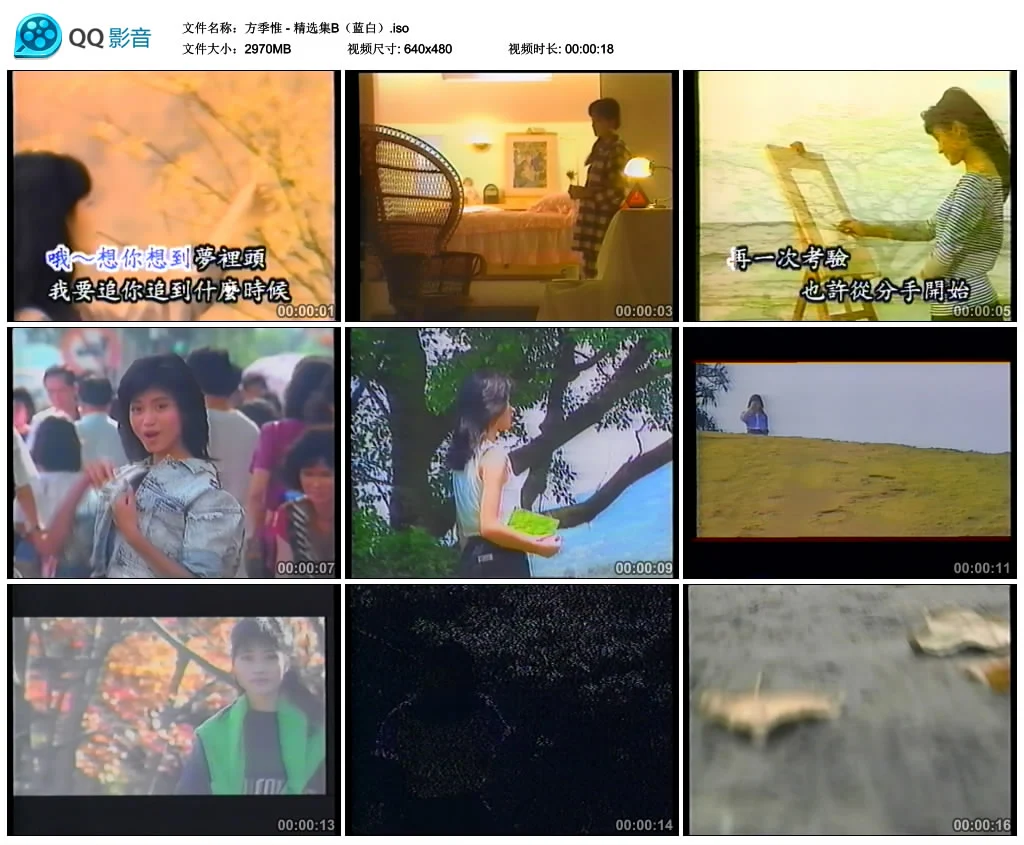 图片[2]-方季惟 – 精选集 2DVD [VHS转录] [KTV] [DVD ISO 3.32G+2.9G]-蓝光演唱会资源网