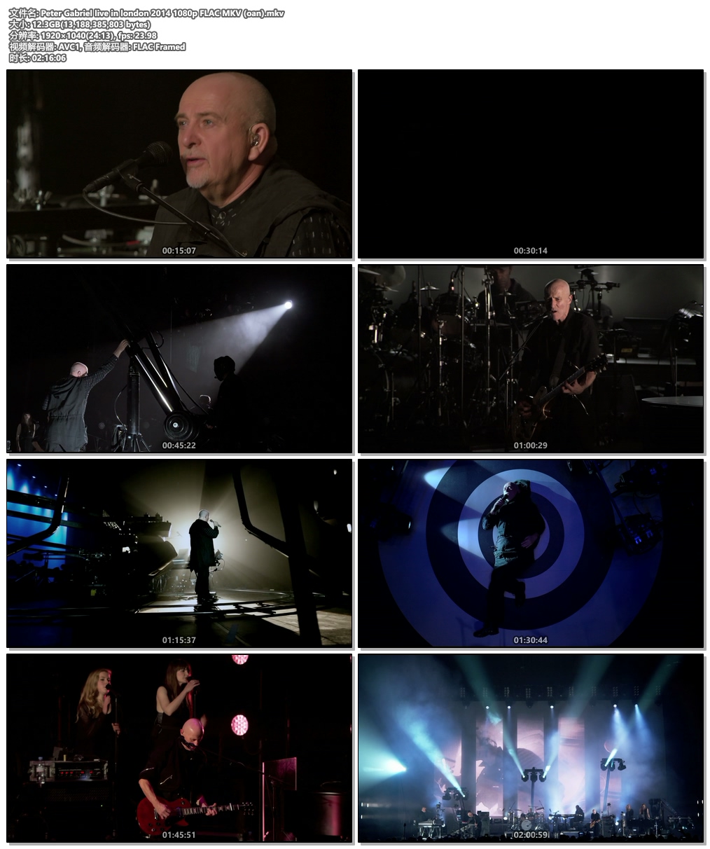图片[5]-彼得·盖布瑞尔 Peter Gabriel – Back to Front – Live in London 2014《BDrip MKV 12.2G》-蓝光演唱会资源网