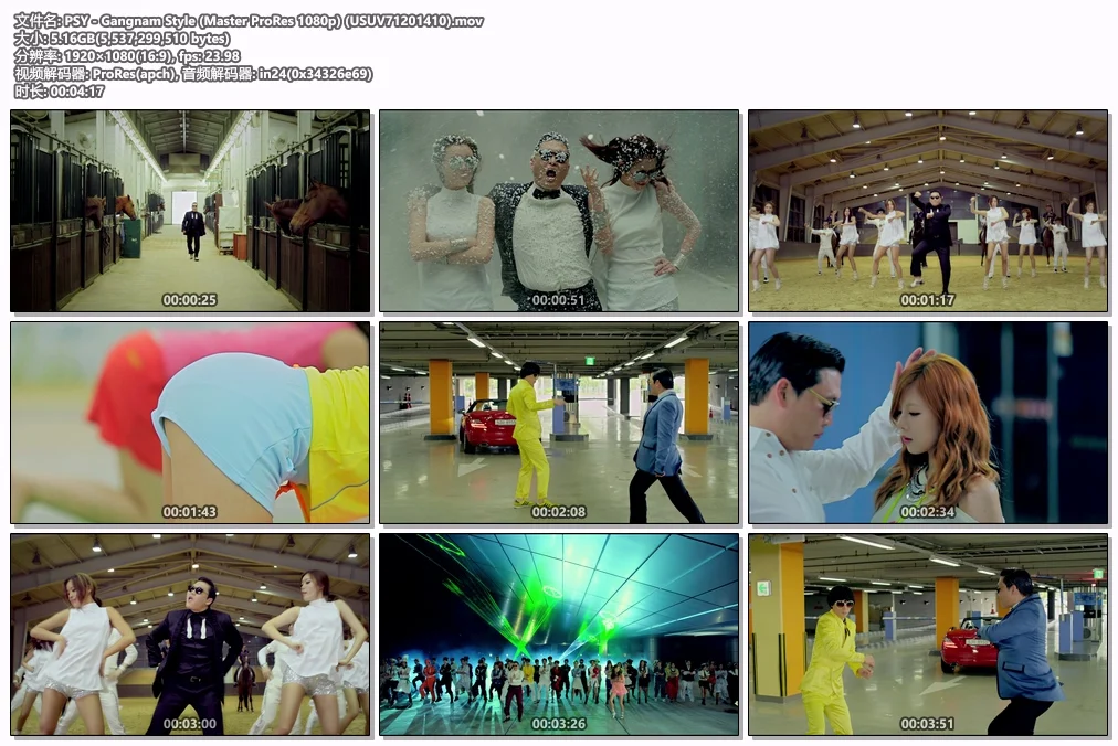 图片[2]-PSY – Gangnam Style Master 1080P [ProRes MOV 5.16GB]-蓝光演唱会资源网
