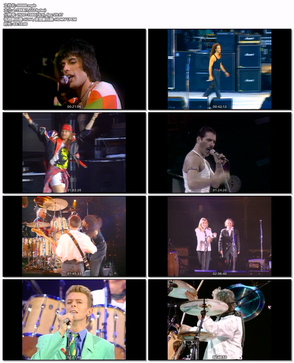 图片[6]-致敬弗莱迪·默克里演唱会 Queen + Various – Freddie Mercury Tribute Concert (1992) SD Blu-Ray [BDMV 45.1GB]-蓝光演唱会资源网