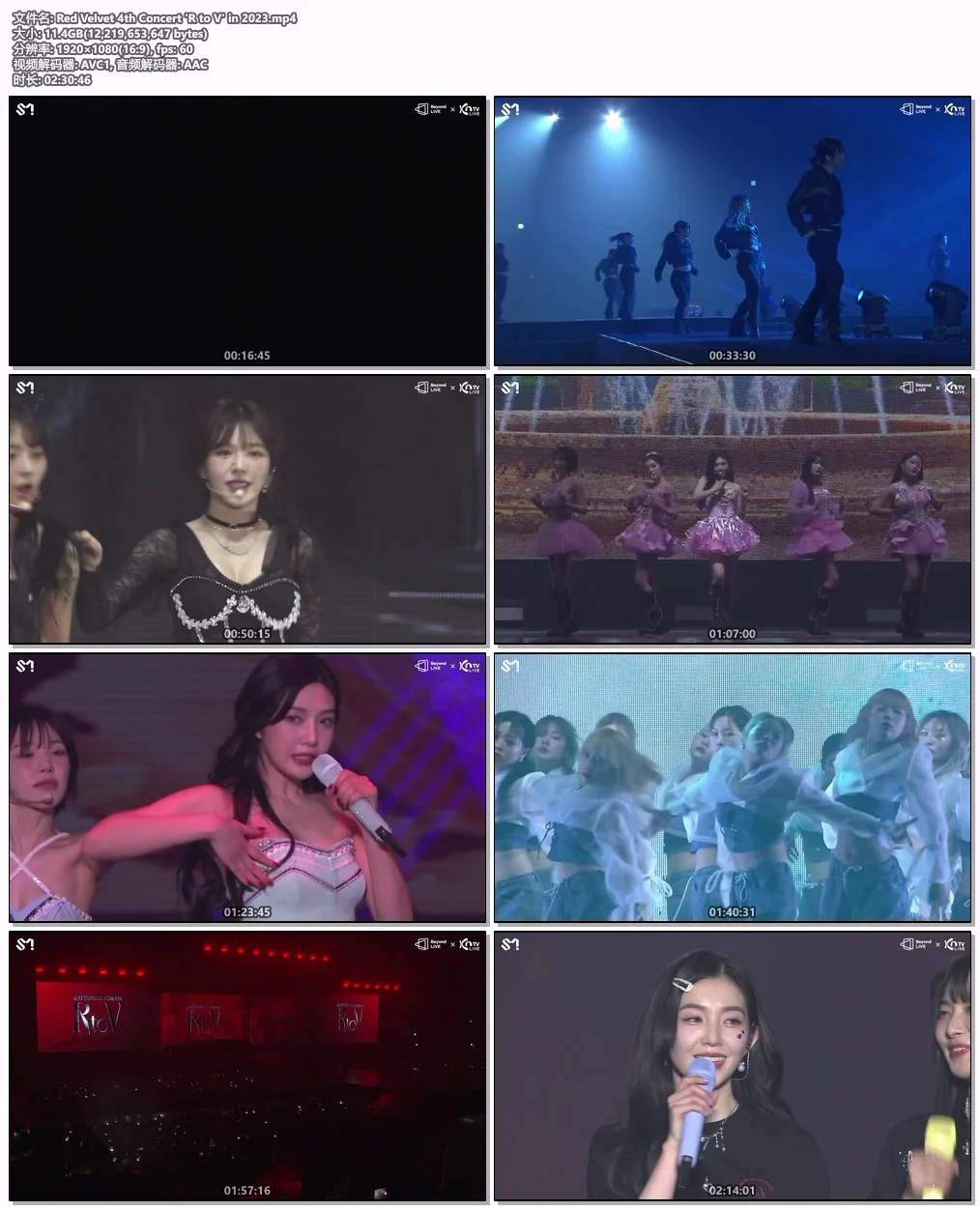 RedVelvet – Really Bad Boy 1080P [ProRes MOV 3.89GB]-蓝光演唱会资源网