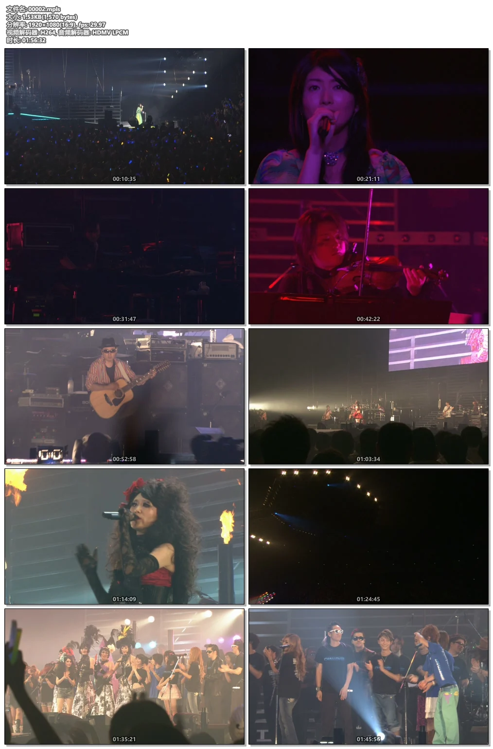 图片[4]-Reef In Motion – Live from Hammersmith 2019《BDMV 19.2G》-蓝光演唱会资源网