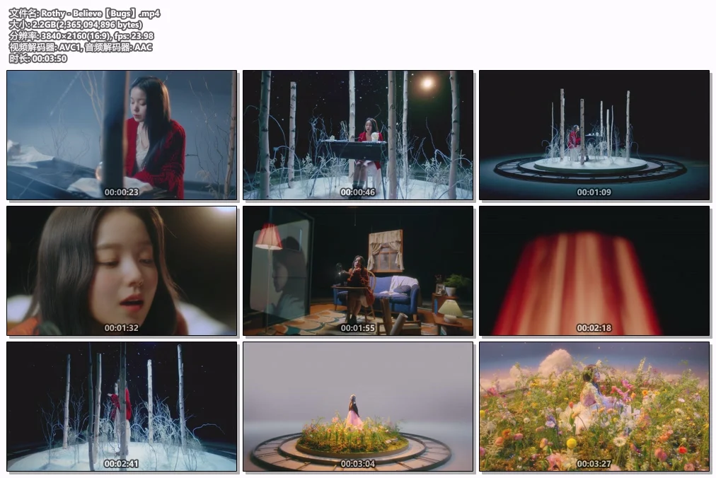 图片[2]-Rothy – Believe 4K 2160P [Bugs MP4 2.2GB]-蓝光演唱会资源网