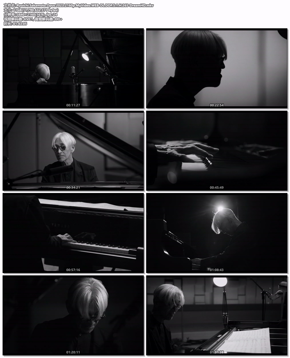 图片[5]-坂本龙一：杰作 Ryuichi Sakamoto Opus 2023 2160p MyVideo WEB-DL DDP 5.1 H.265 [WEB-DL MKV 10.9GB]-蓝光演唱会资源网