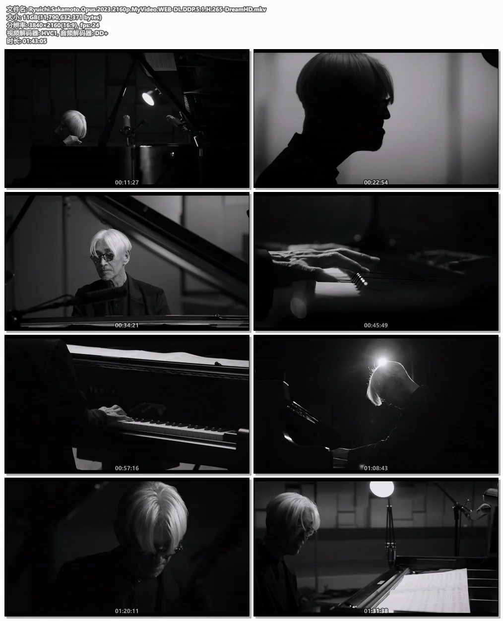 图片[6]-坂本龙一：异步 RYUICHI SAKAMOTO: async AT THE PARK AVENUE ARMORY 2018《BDMV 21.2G》-蓝光演唱会资源网