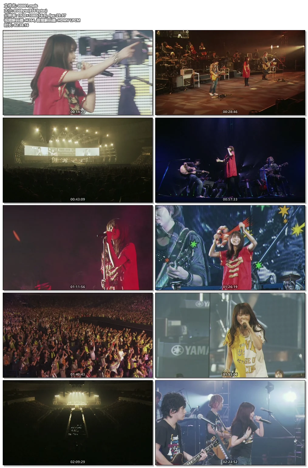 图片[6]-生物股长2010横滨Arena演唱会 Ikimonogakari no Minasan Konni Tour 2010 Nandemo Ar《BDMV 43.7G》-蓝光演唱会资源网