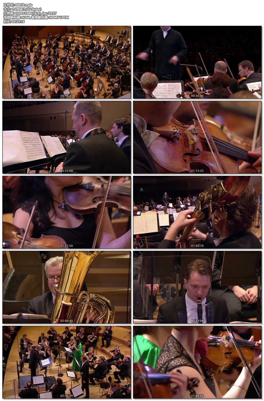 图片[8]-肖斯塔科维奇-交响曲和协奏曲全集 Shostakovich Complete Symphonies & Concertos Mariinsky Orchestra, Valery Gergiev 2015《BDMV 4碟 170.58G》-蓝光演唱会资源网