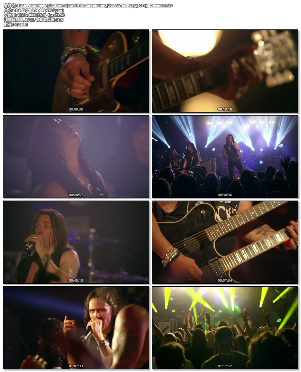 图片[5]-Slash Featuring Myles Kennedy and The Conspirators Live At The Roxy 2014《Remux MKV 18.9G》-蓝光演唱会资源网