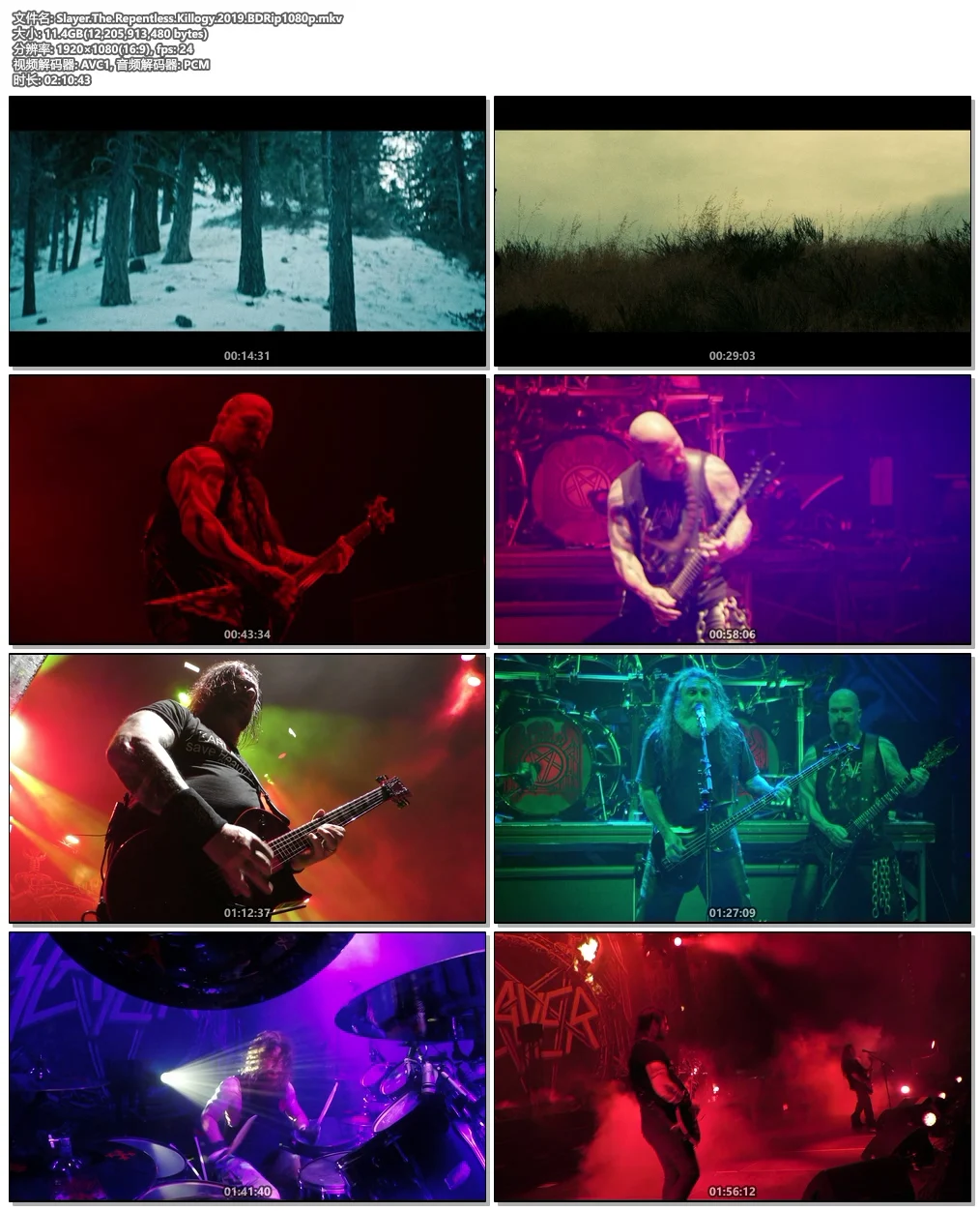 图片[5]-Slayer The Repentless Killogy 2019《BDrip MKV 11.3G》-蓝光演唱会资源网