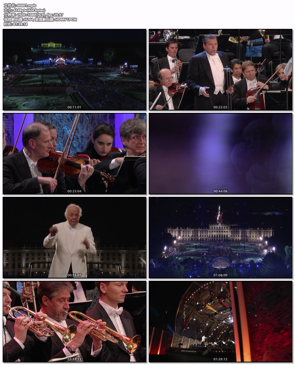 图片[6]-2013维也纳美泉宫夏季音乐会 Sommernachtskonzert / Summer Night Concert 2013 [BDMV 26.1GB]-蓝光演唱会资源网