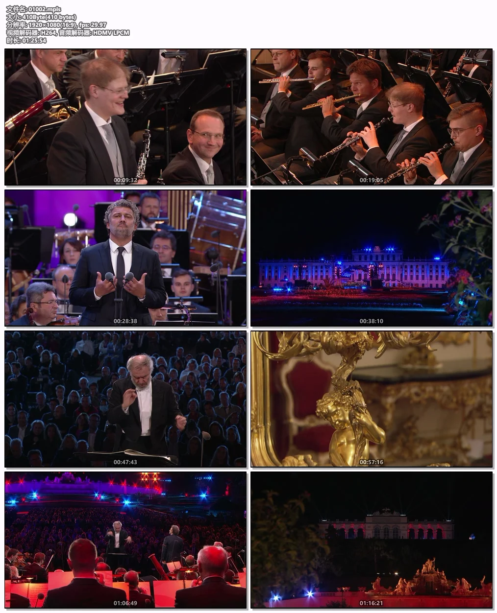 图片[6]-2020维也纳美泉宫夏季音乐会 Sommernachtskonzert / Summer Night Concert 2020 [BDMV 19.6GB]-蓝光演唱会资源网