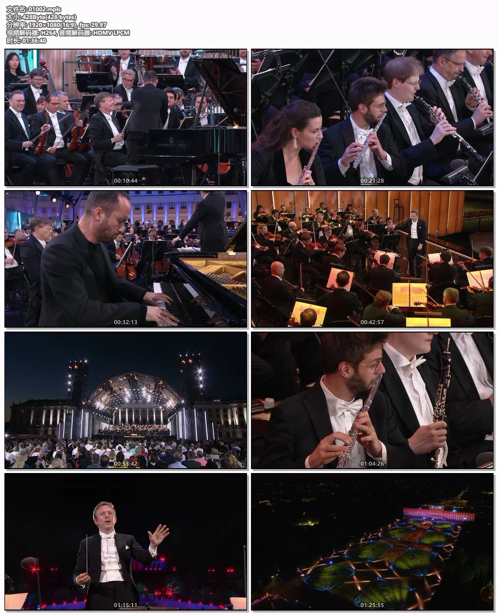 图片[6]-2021维也纳美泉宫夏季音乐会 Sommernachtskonzert / Summer Night Concert 2021 [BDMV 20GB]-蓝光演唱会资源网