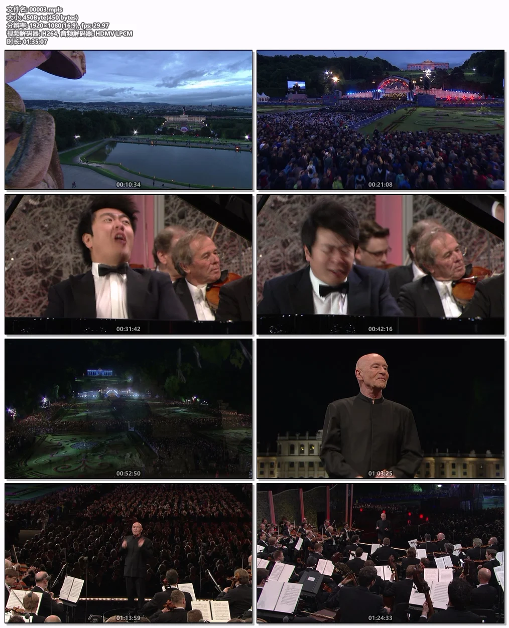 图片[6]-2014维也纳美泉宫夏季音乐会 Sommernachtskonzert / Summer Night Concert 2014 [BDMV 30.7GB]-蓝光演唱会资源网