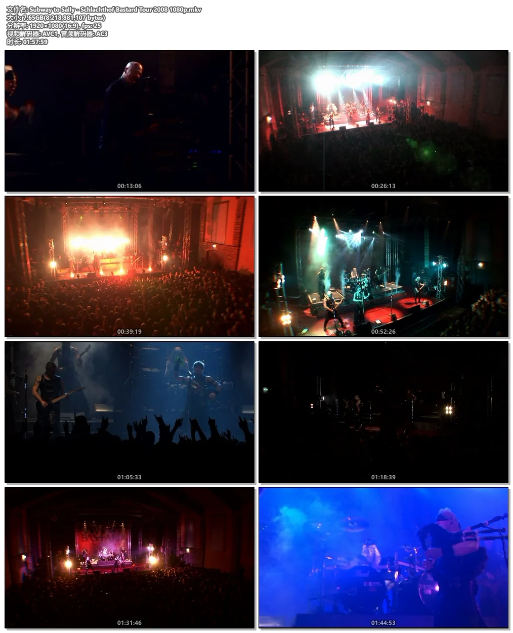 图片[4]-Subway To Sally – Eisheilige Nacht Back To Lindenpark 2021 Blu-ray AVC 1080i LPCM 2.0《BDMV 44G》-蓝光演唱会资源网