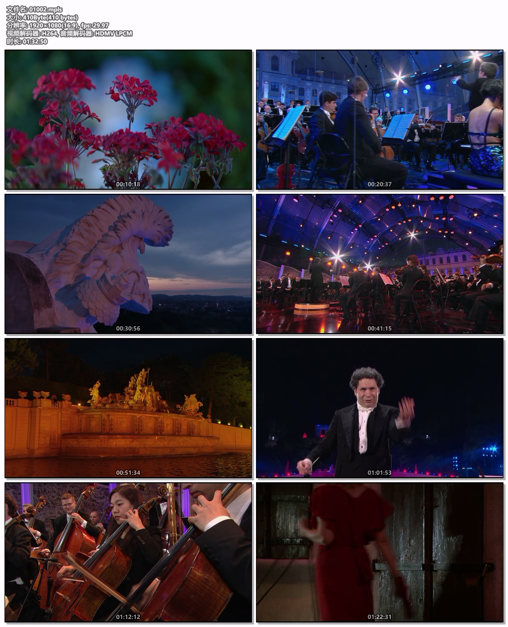 图片[6]-2019年维也纳美泉宫夏季音乐会 Sommernachtskonzert 2019 / Summer Night Concert 2019 [BDMV 21.2GB]-蓝光演唱会资源网