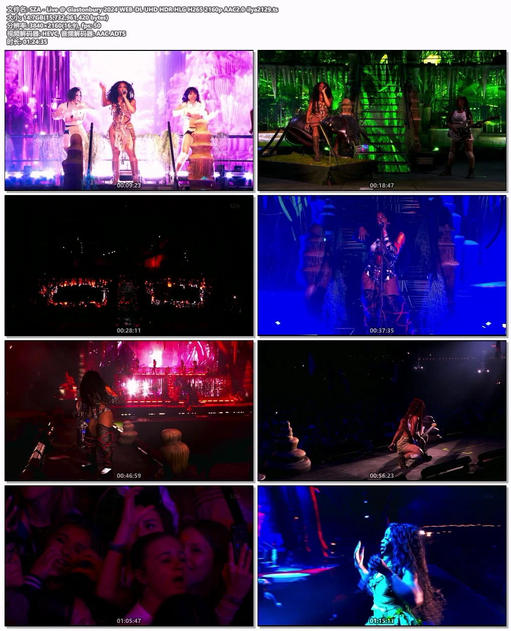 图片[4]-SZA – Live @ Glastonbury 2024 4KHDR [WEB-DL TS 14.6GB]-蓝光演唱会资源网