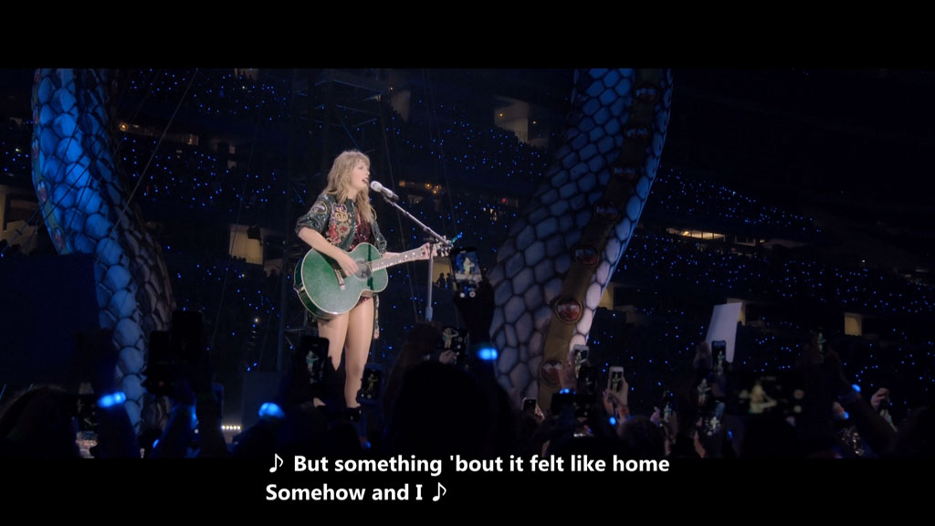 图片[5]-泰勒.斯威夫特 举世盛名 Taylor Swift Reputation 巡回演唱会《BDMV 14.2G》-蓝光演唱会资源网