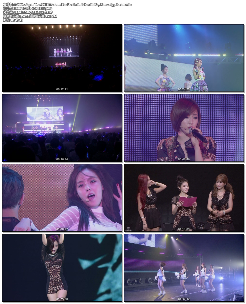 图片[7]-T-ARA – Japan Tour 2013 Treasu《Remux MKV 28.4G》-蓝光演唱会资源网