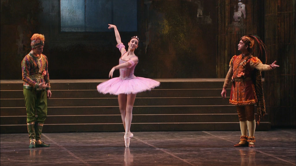 图片[4]-柴可夫斯基芭蕾舞 Tchaikovsky Gala 2007 – Teatro alla Scala, David Coleman《BDMV 20.8G》-蓝光演唱会资源网