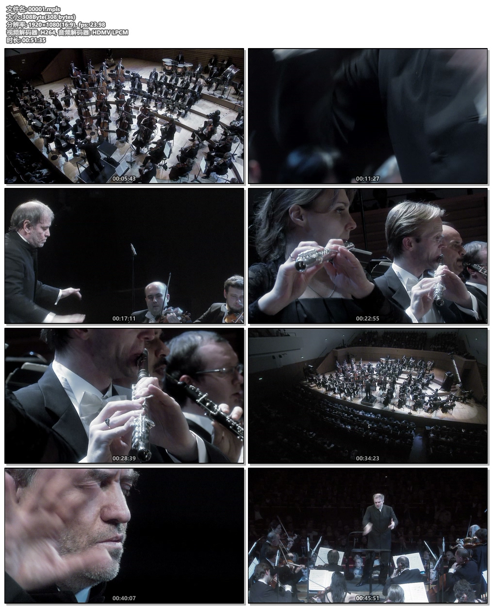 图片[6]-Tchaikovsky Symphonies Nos. 4, 5, 6 2010 [2017]《BDMV 30.4G》-蓝光演唱会资源网