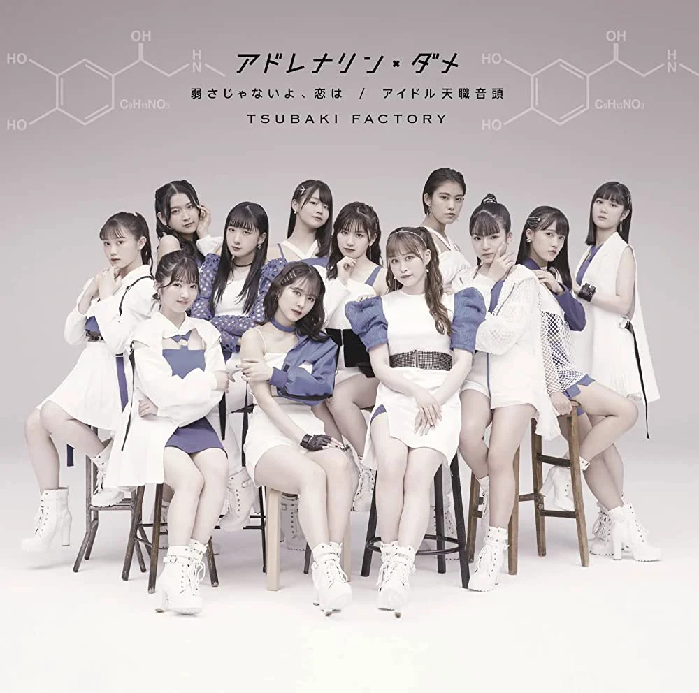 Tsubaki Factory CONCERT TOUR ~ENCORE PARADE~ 2023 [BDISO 2BD 61.2GB]-蓝光演唱会资源网