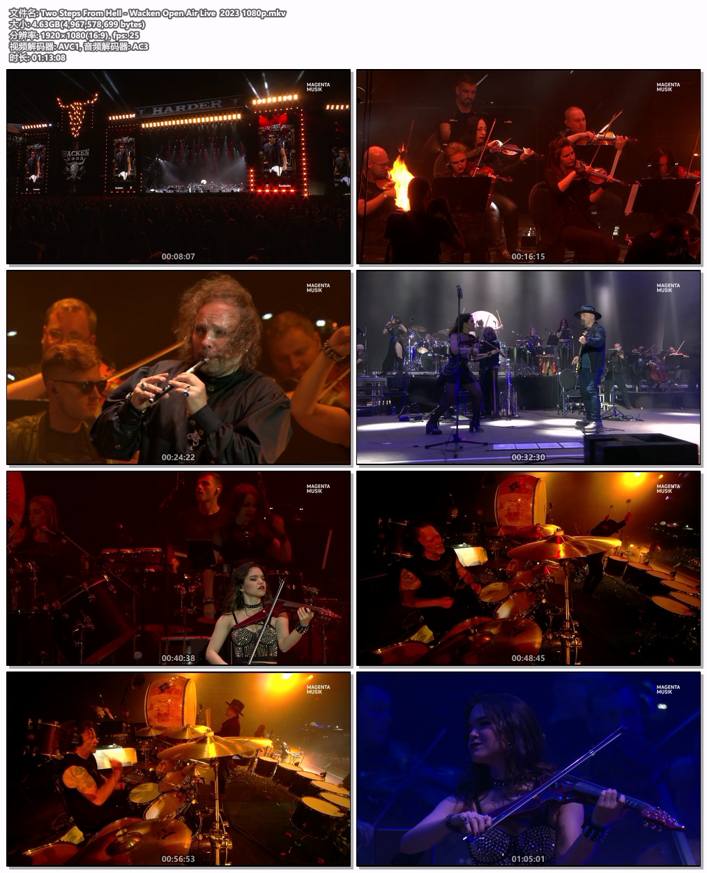 图片[4]-两步逃离地狱 Two Steps From Hell – Wacken Open Air Live 2023 HD 1080P [WEB-DL MKV 4.62GB]-蓝光演唱会资源网