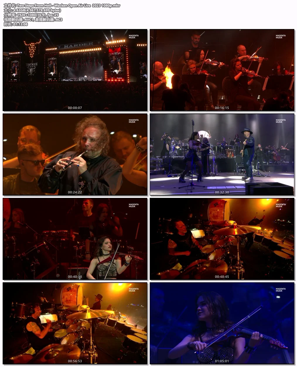 图片[4]-两步逃离地狱 Two Steps From Hell – Wacken Open Air Live 2023 HD 1080P [WEB-DL MKV 4.62GB]-蓝光演唱会资源网