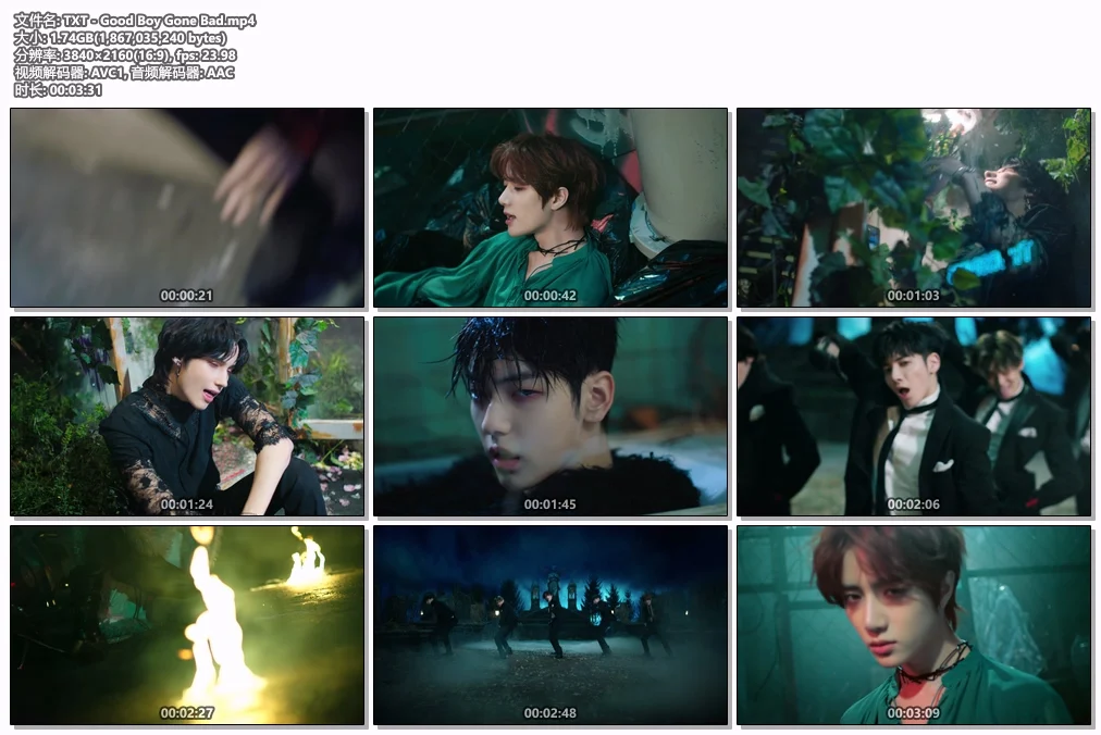 图片[2]-TXT – Good Boy Gone Bad 4K 2160P [Bugs MP4 1.74GB]-蓝光演唱会资源网