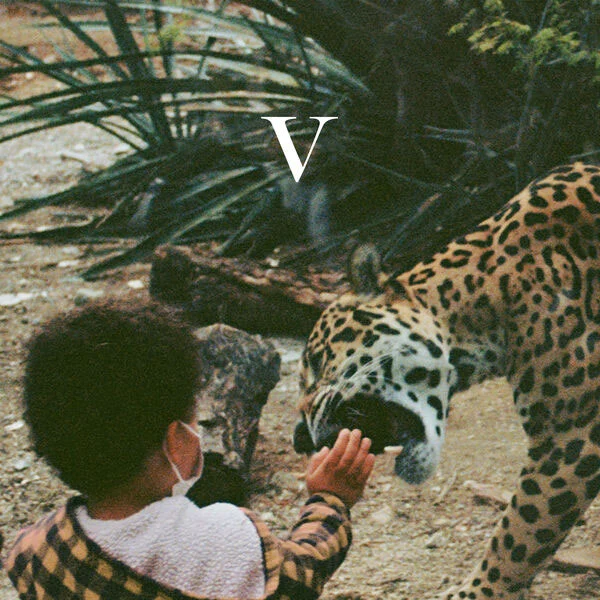 Unknown Mortal Orchestra – V 2023 [24Bit/96kHz] [Hi-Res Flac 1.25GB]-蓝光演唱会资源网