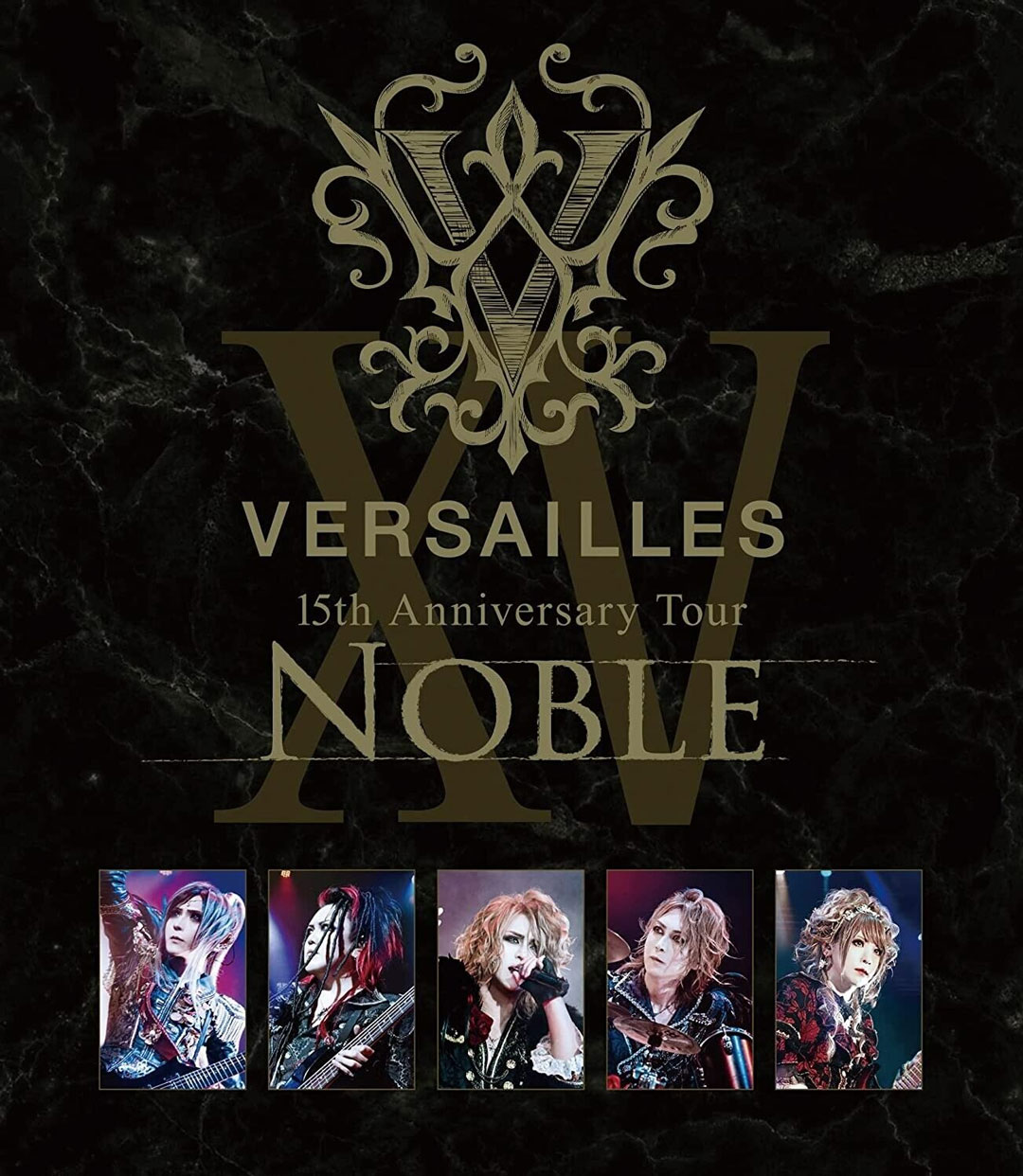 图片[2]-Verbier Festival – The 25th Anniversary Concert 2018《BDMV 31.2G》-蓝光演唱会资源网