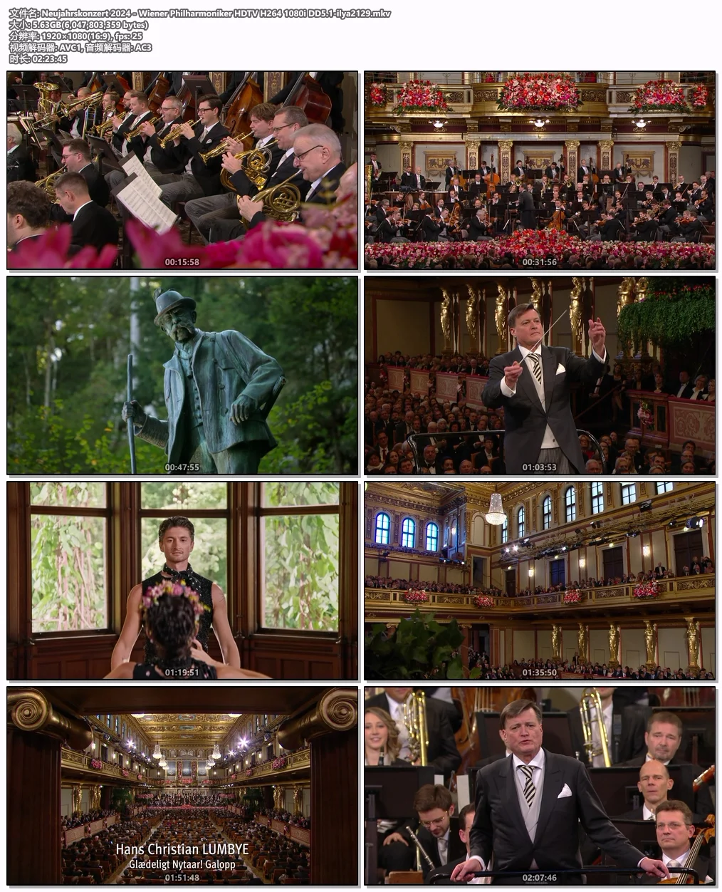 图片[5]-2024维也纳新年音乐会 Vienna New Year\’s Concert 2024 [HDTV MKV 5.63GB]-蓝光演唱会资源网
