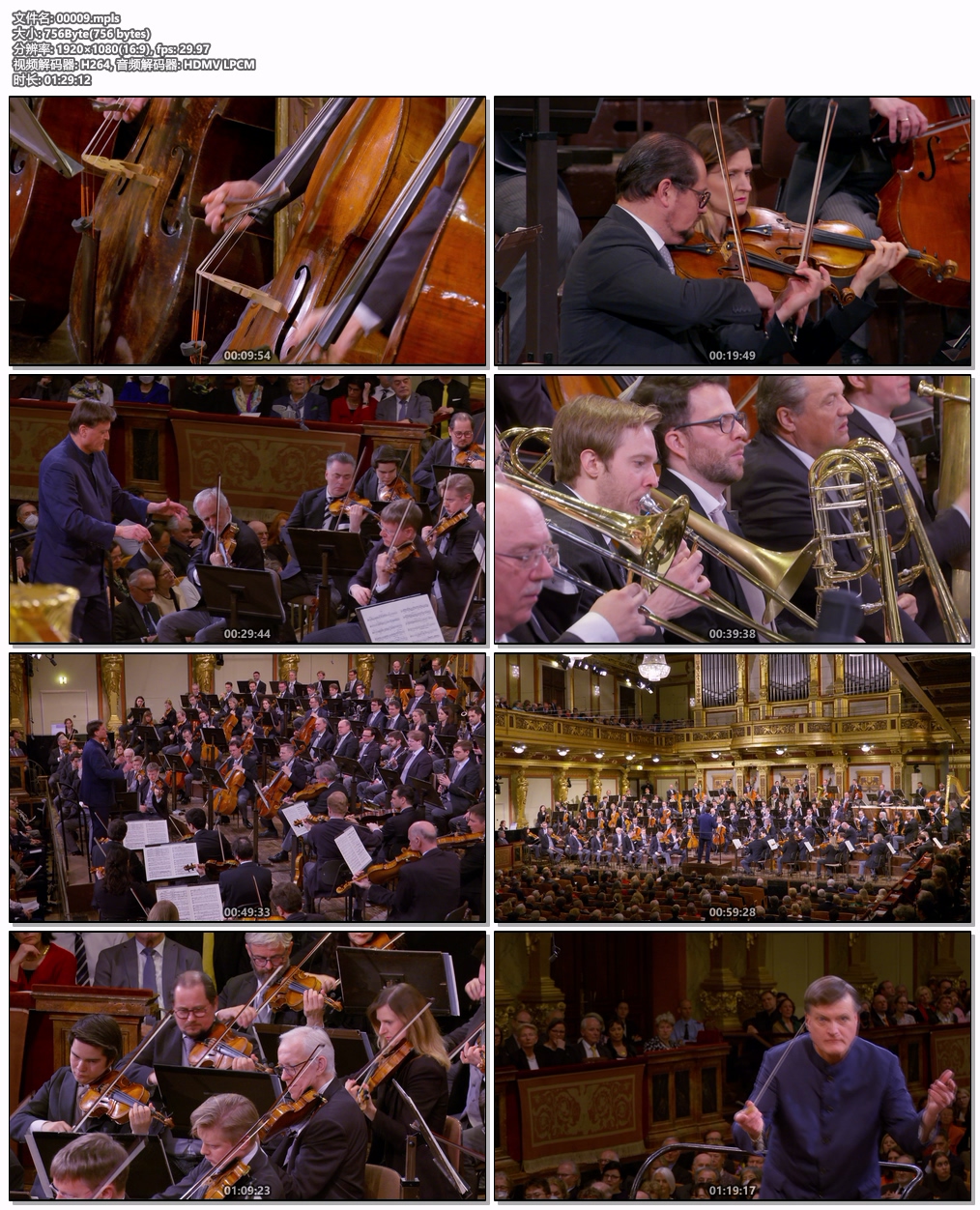 图片[6]-Vienna Philharmonic – The Exclusive Subscription Concert Series 2024 [BDMV 20.7GB]-蓝光演唱会资源网