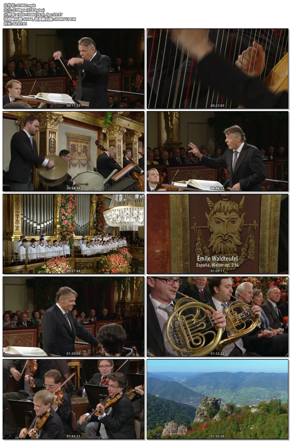图片[6]-2016年维也纳新年音乐会 Vienna Philharmonic New Year\’s Concert 2016 [BDMV 38.5GB]-蓝光演唱会资源网