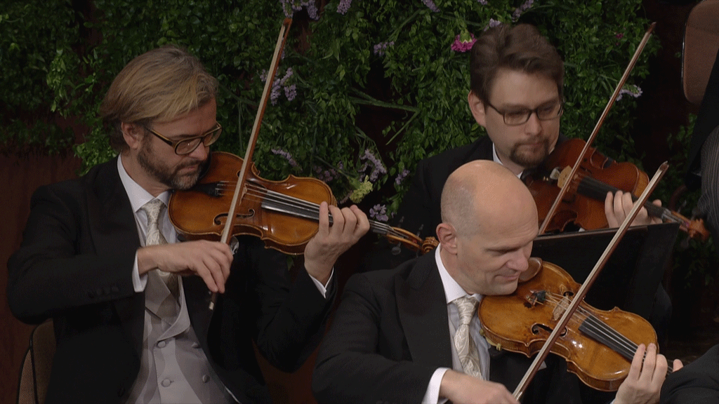 图片[3]-2017年维也纳新年音乐会 Vienna Philharmonic New Year\’s Concert 2017 [BDMV 34.5GB]-蓝光演唱会资源网