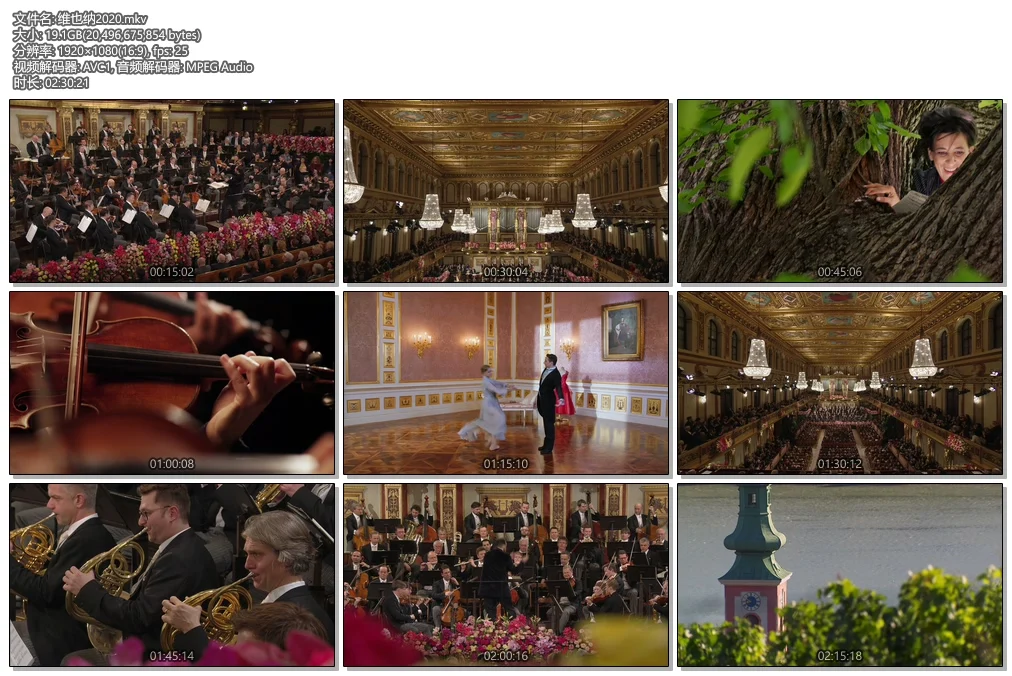 图片[2]-2020维也纳新年演奏会 Vienna New Year’s Concert 2020《Remux MKV 19.09G 》-蓝光演唱会资源网