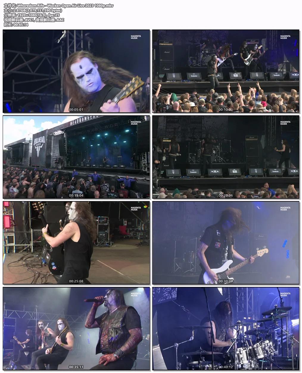 图片[5]-Whoredom Rife – Wacken Open Air Live 2023 HD 1080P [WEB-DL MKV 2.86GB]-蓝光演唱会资源网