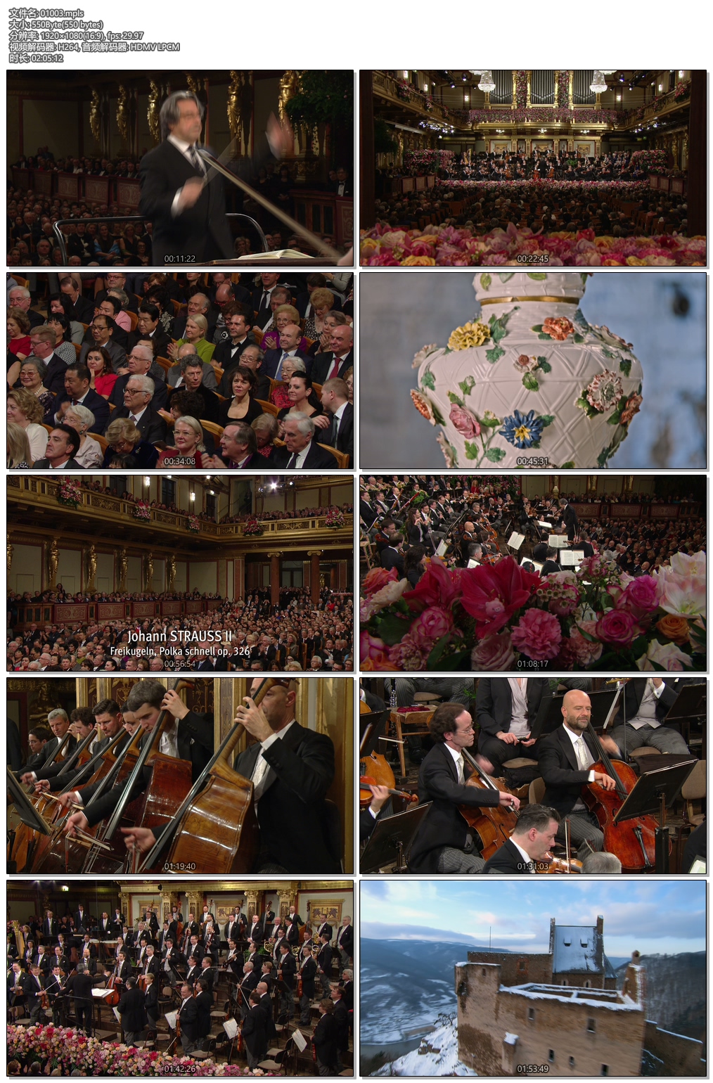图片[8]-2018年维也纳新年音乐会 Vienna Philharmonic New Year\’s Concert 2018 [BDMV 38.1GB]-蓝光演唱会资源网