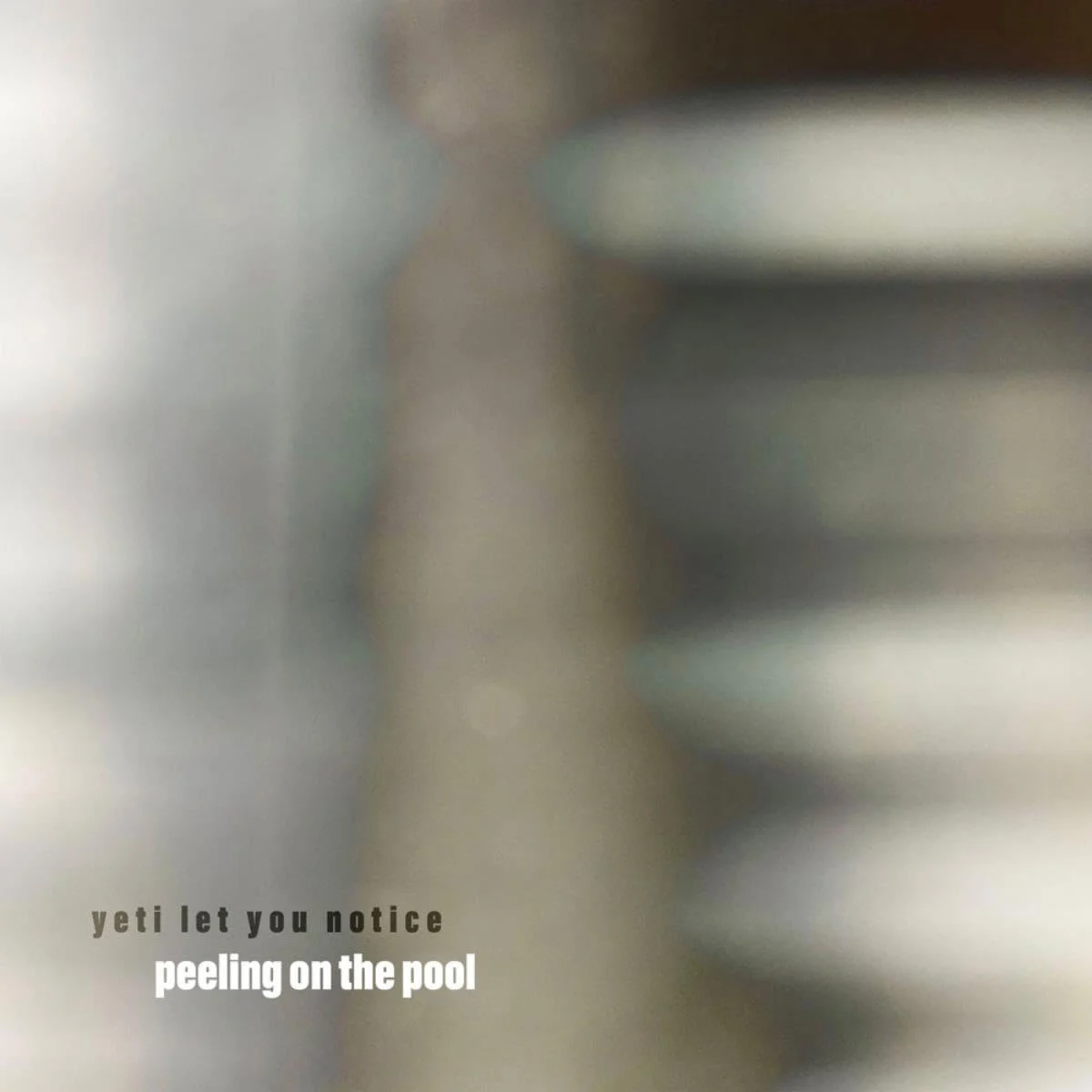 yeti let you notice – peeling on the pool 2023 [24Bit/48kHz] [Hi-Res Flac 285MB]-蓝光演唱会资源网