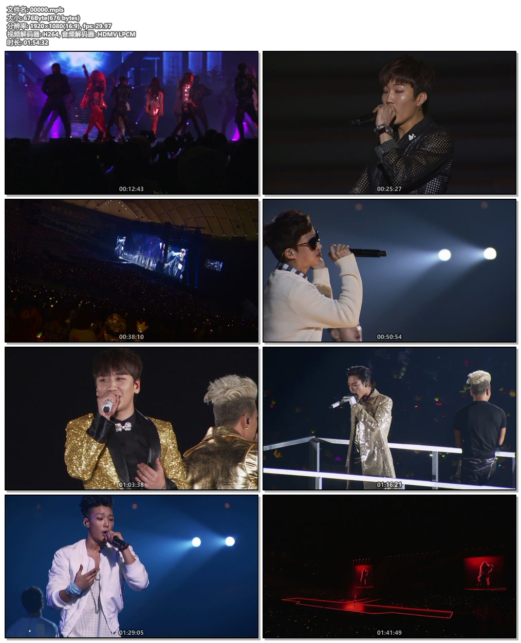 图片[4]-YG Family – World Tour 2014 -POWER- in Japan 2015 [ISO 2BD 70.3GB]-蓝光演唱会资源网