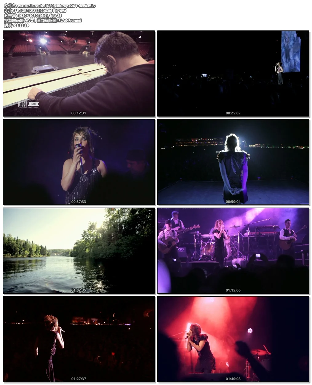 图片[5]-ZAZ Sur La Route 2014 1080p BluRay x264-DEV0《BDrip MKV 11.4G》-蓝光演唱会资源网