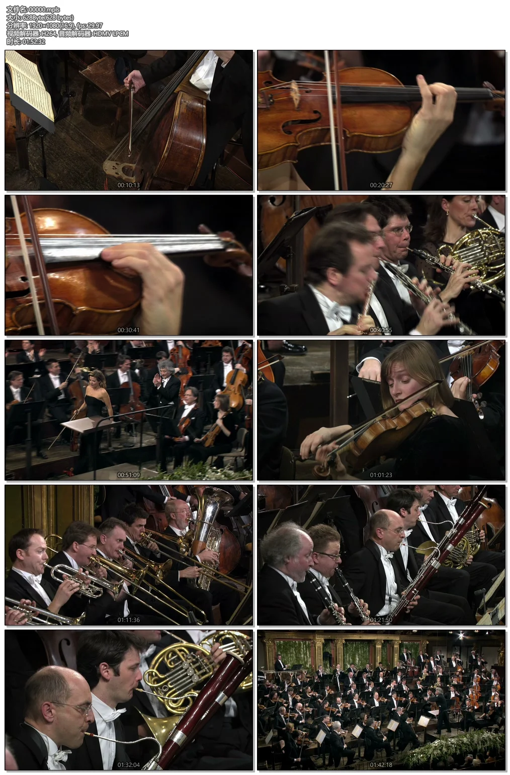 图片[4]-追忆卡拉扬音乐会 Herbert von Karajan Memorial Concert 2009演唱会《ISO 22.9G》-蓝光演唱会资源网