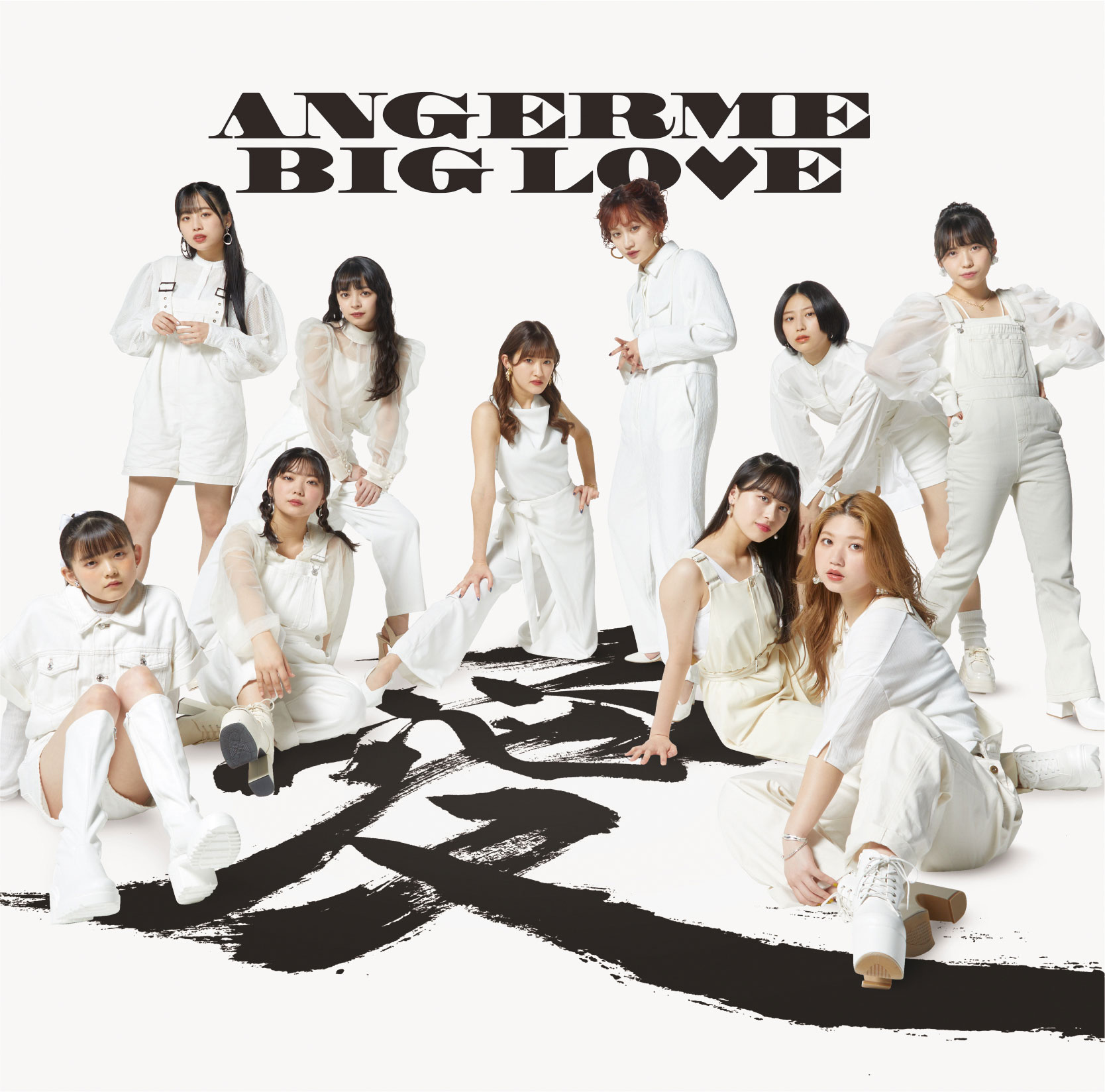アンジュルム ANGERME – BIG LOVE 2023 [24Bit/96kHz] [Hi-Res Flac 1.96GB]-蓝光演唱会资源网