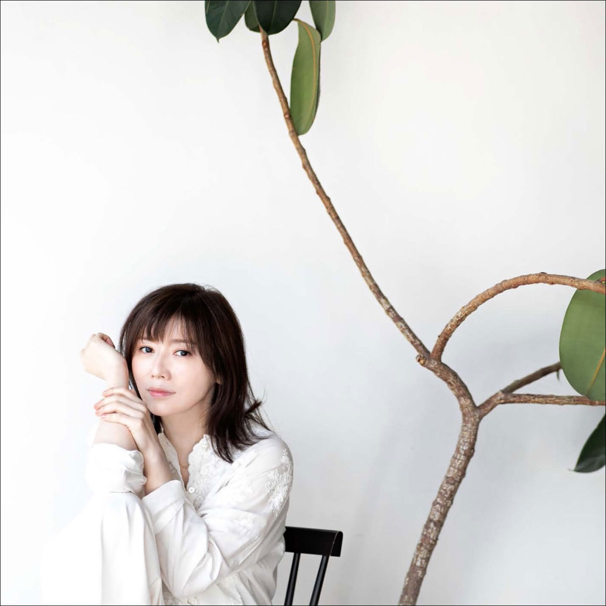 Jun Shibata – 901 Goushitsu no Obake 2024 [24Bit/96kHz] [Hi-Res Flac 861MB]-蓝光演唱会资源网