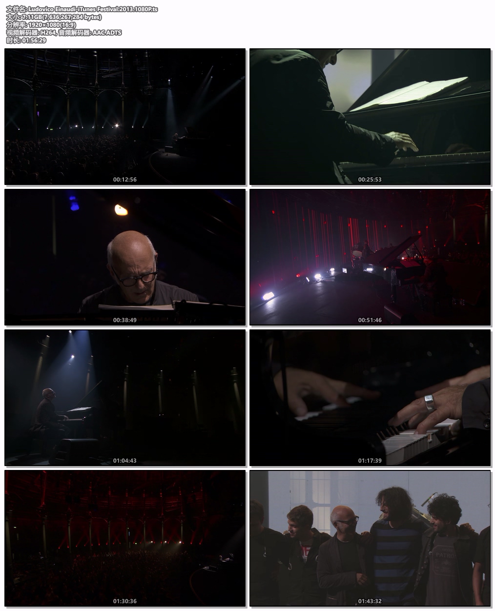 图片[5]-Ludovico Einaudi iTunes Festival London 2013 [HDTV TS 7.18GB]-蓝光演唱会资源网