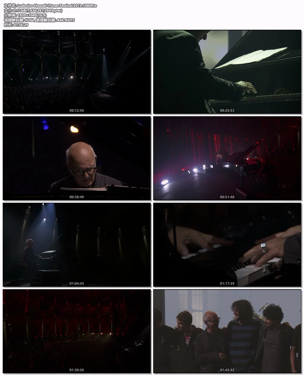 图片[5]-Ludovico Einaudi iTunes Festival London 2013 [HDTV TS 7.18GB]-蓝光演唱会资源网